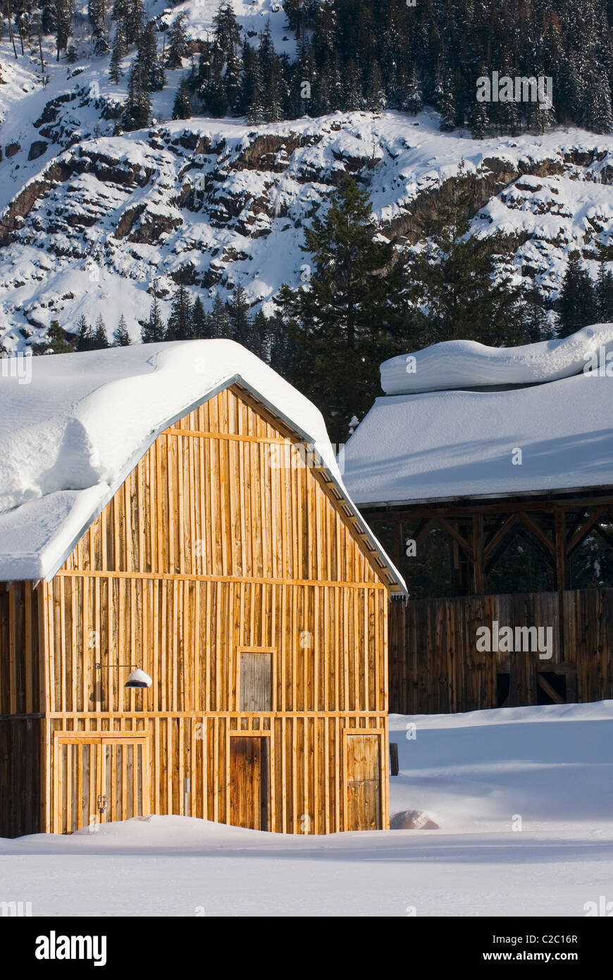 Schneebedeckte Scheunen in den oberen Methow Valley-Washington-USA Stockfoto