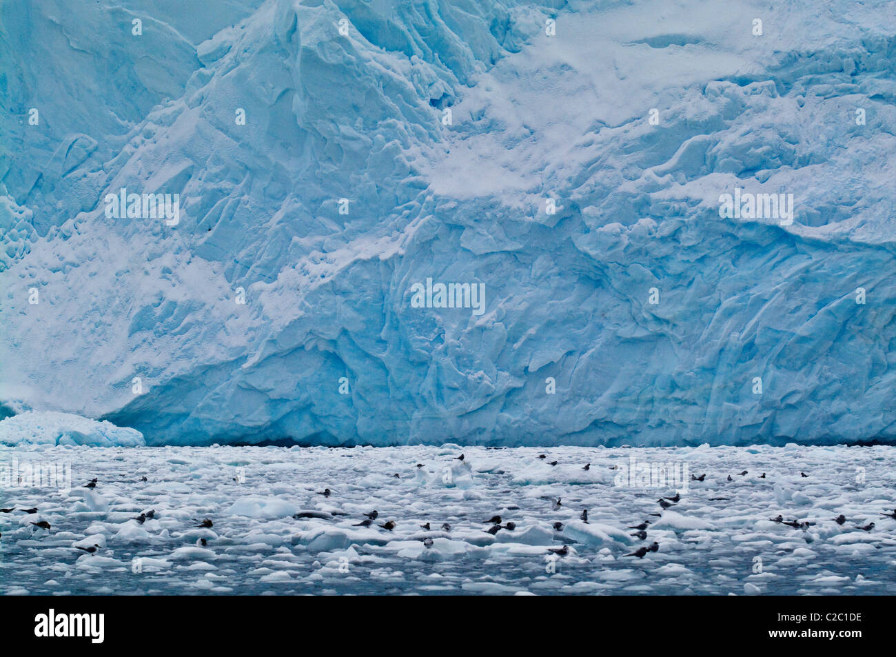 Crystal Sound, Hanusse Bay, antarktische Halbinsel, südlichen Polarkreis, Antarktis. Stockfoto