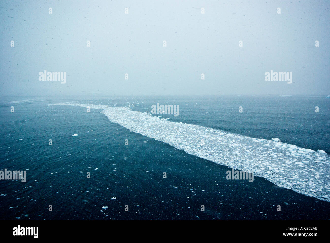 Eisberge schwimmen auf eine Meeresströmung in einem Schneesturm unter einem grauen Himmel. Stockfoto