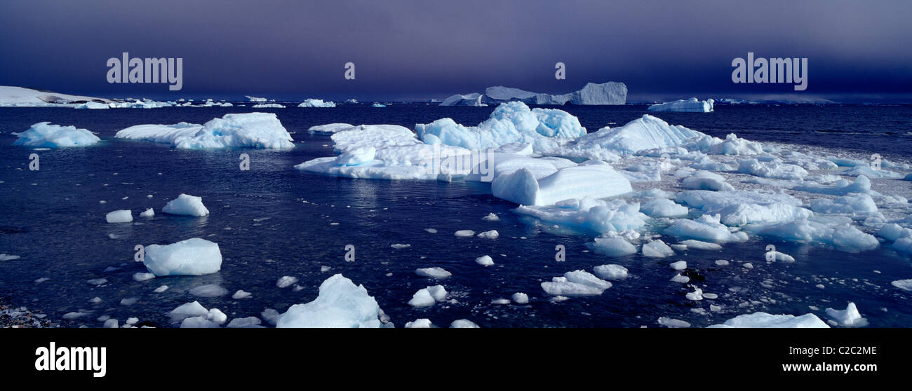 Eisberge säumen die Untiefen des eine robuste Diorit Insel Küste. Stockfoto