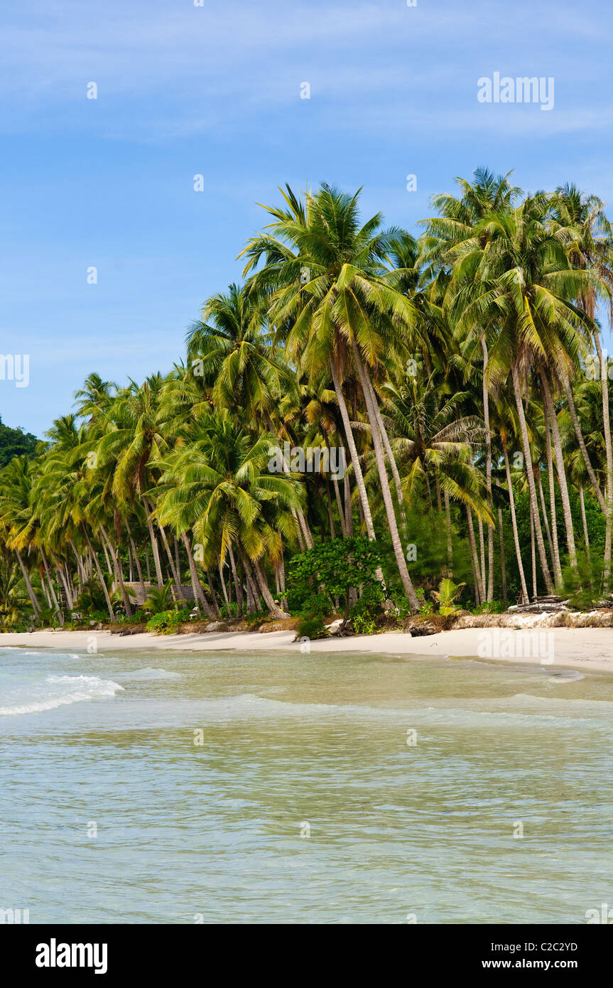 Thailand. Palmen am Strand von Einsamkeit auf Insel Koh Kood Stockfoto