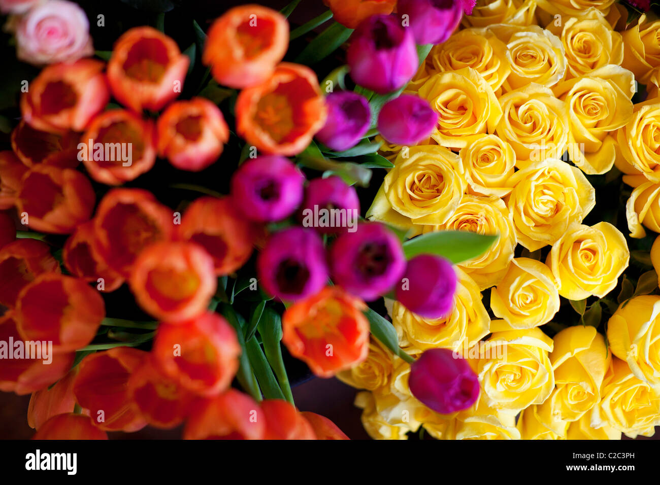 Blumen Stockfoto