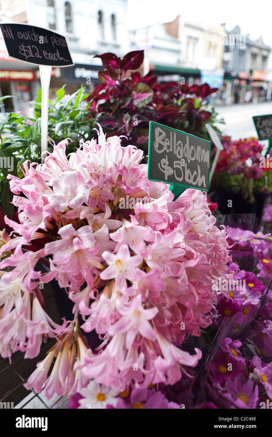 Flower Shop Stockfoto