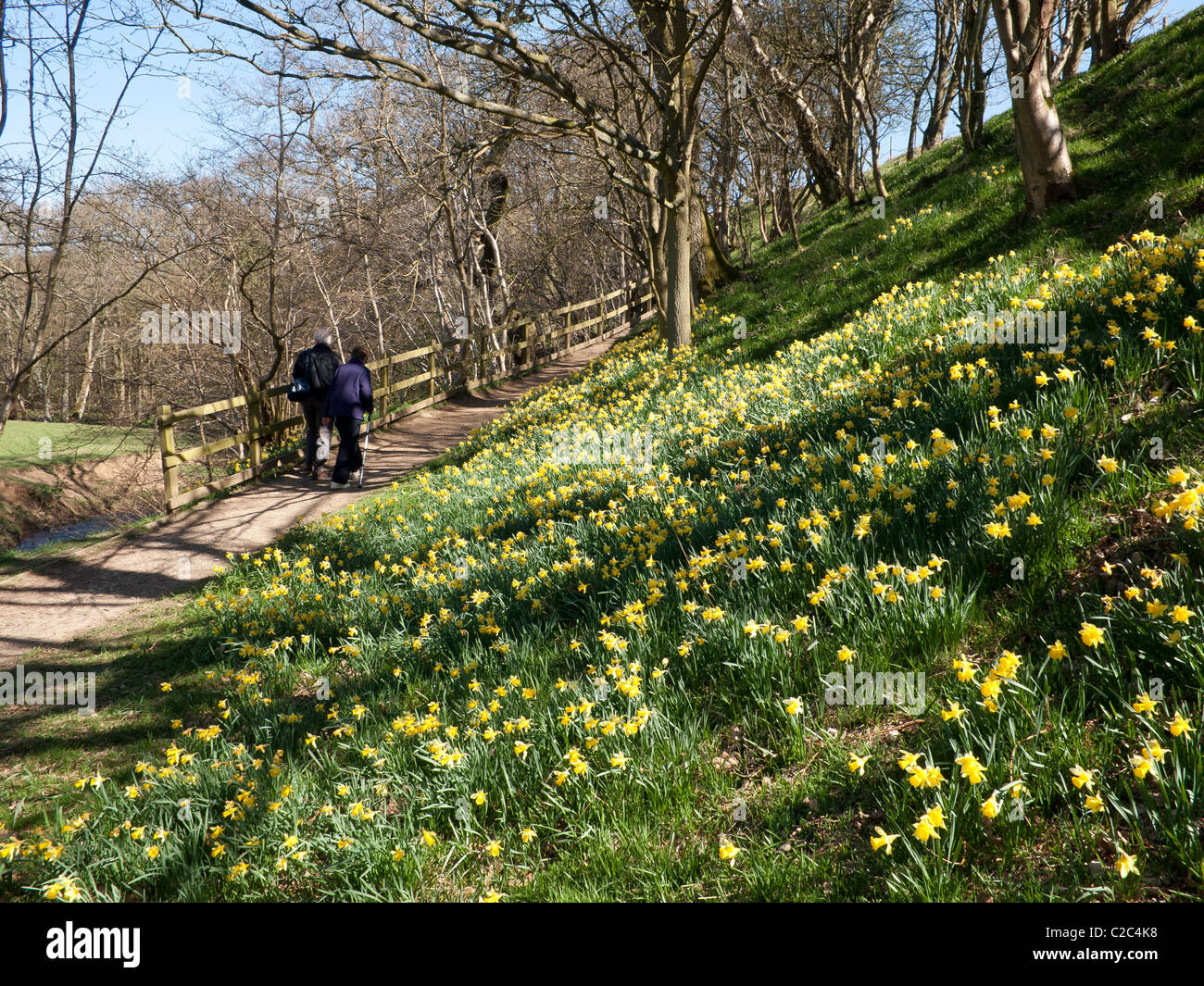 Ein paar auf die Farndale Fuß in die North Yorkshire Moors Nationalpark berühmt für Narzissen im Frühjahr Stockfoto
