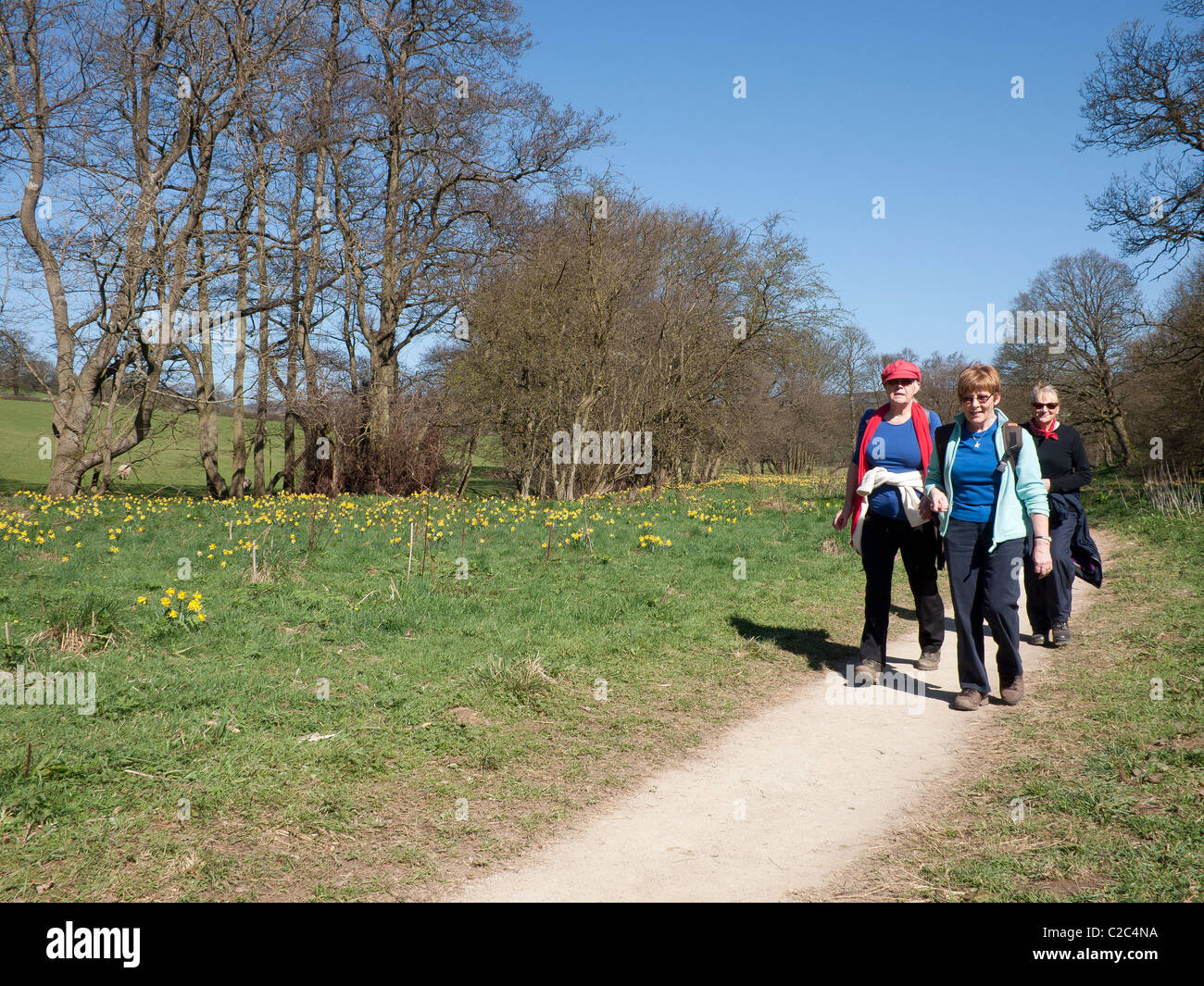 Drei Damen auf den Farndale gehen in die North Yorkshire Moors Nationalpark berühmt für Narzissen im Frühjahr Stockfoto