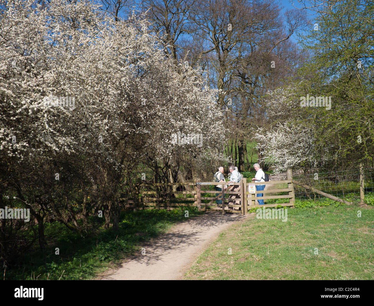 Wanderer treffen an einem Tor Farndale Spaziergang am Ufer des River Dove in North Yorkshire berühmt für Narzissen im Frühjahr Stockfoto