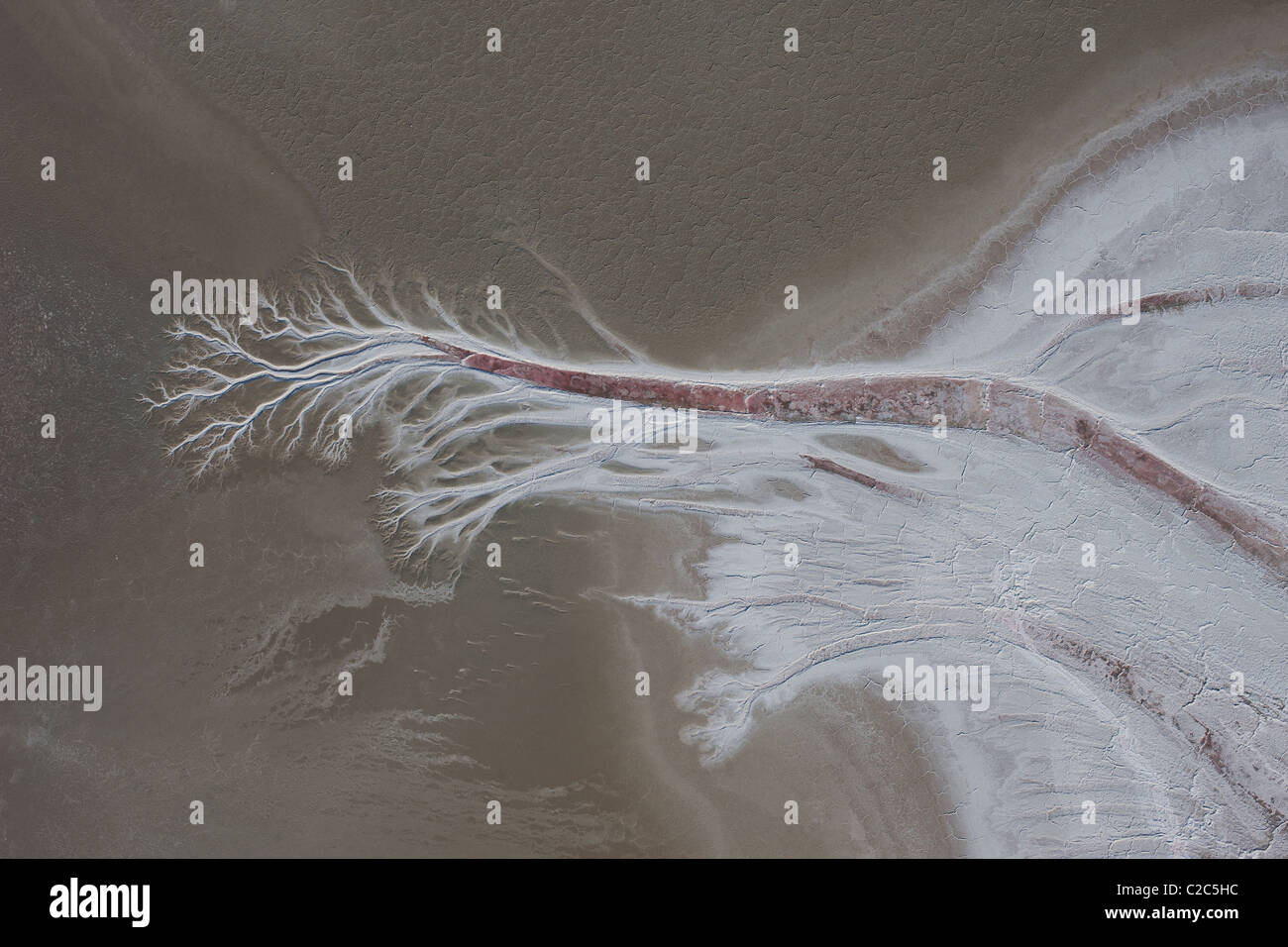 VERTIKALE LUFTAUFNAHME. Dendritisches Muster aufgrund von Wassererosion auf der Oberfläche des Searles Dry Lake. Trona, San Bernardino County, Kalifornien, USA. Stockfoto