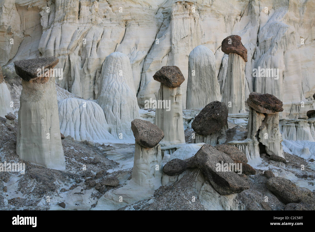 Weiße Hoodoos. Die harten Steine auf der Oberseite schützen den weicheren Schiefer darunter vor Erosion. Kane County, Süd-Utah, USA. Stockfoto