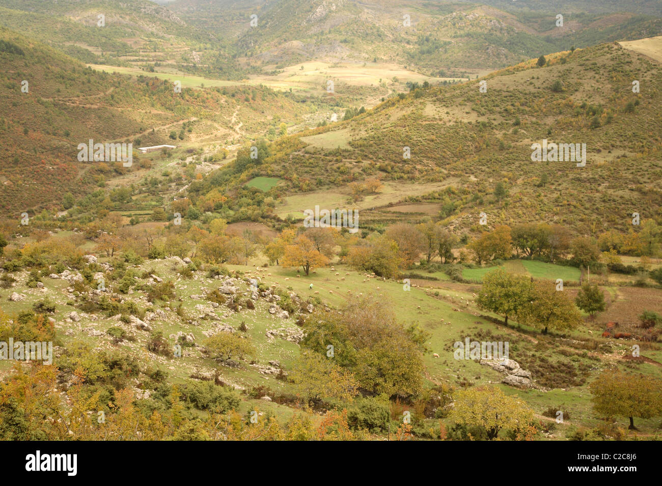 Gjirokastra Epirus Albanien Stockfoto