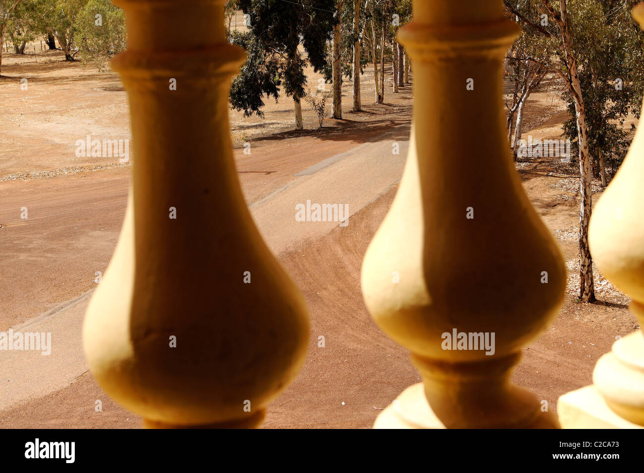 Blick durch Spalten auf Fahrbahn, Eukalyptusbäumen, New Norcia Western Australia Stockfoto