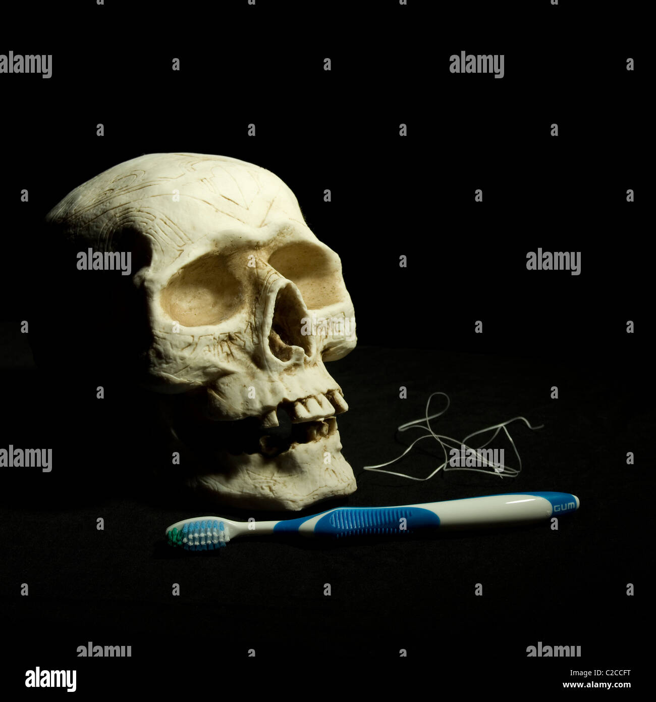 Eine keramische Schädel Bilder auf schwarzem Hintergrund mit einer Zahnbürste und Zahnseide. Stockfoto