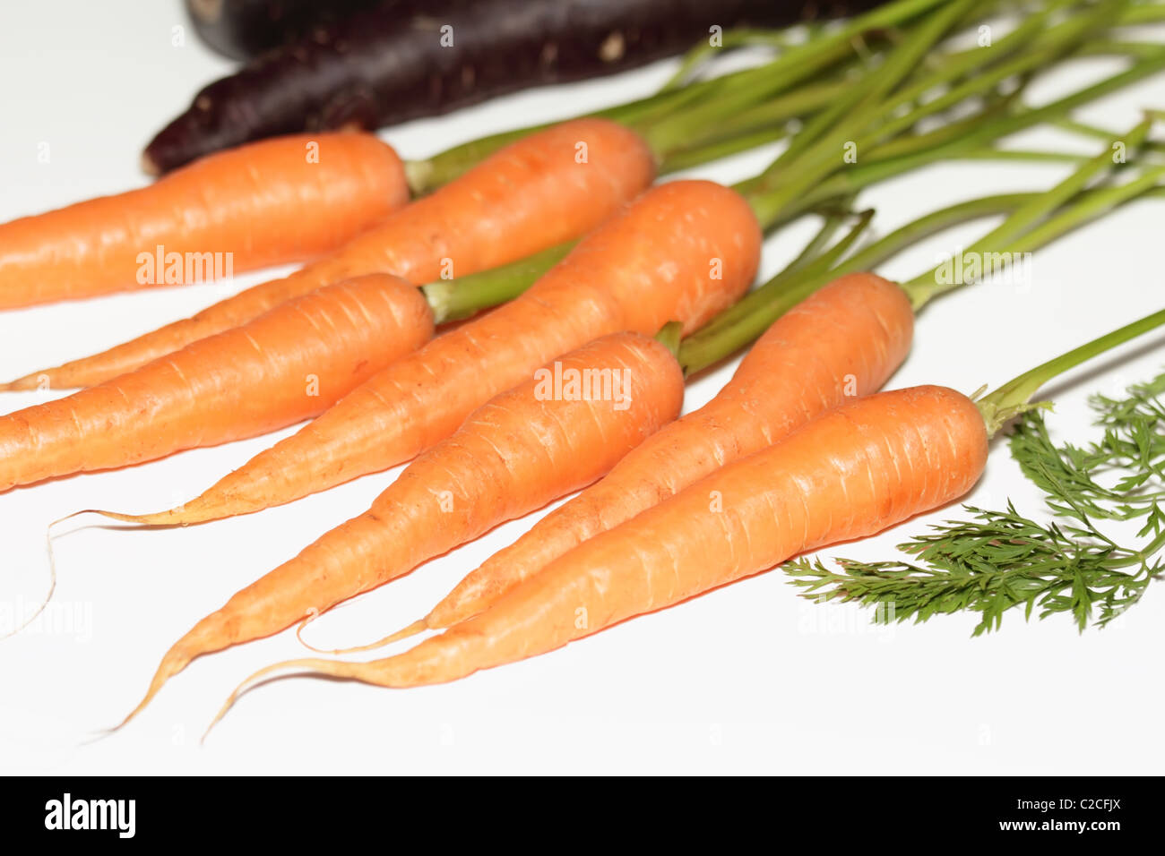 Niederländische Karotten, kleiner, aber süßer Vielfalt Stockfoto