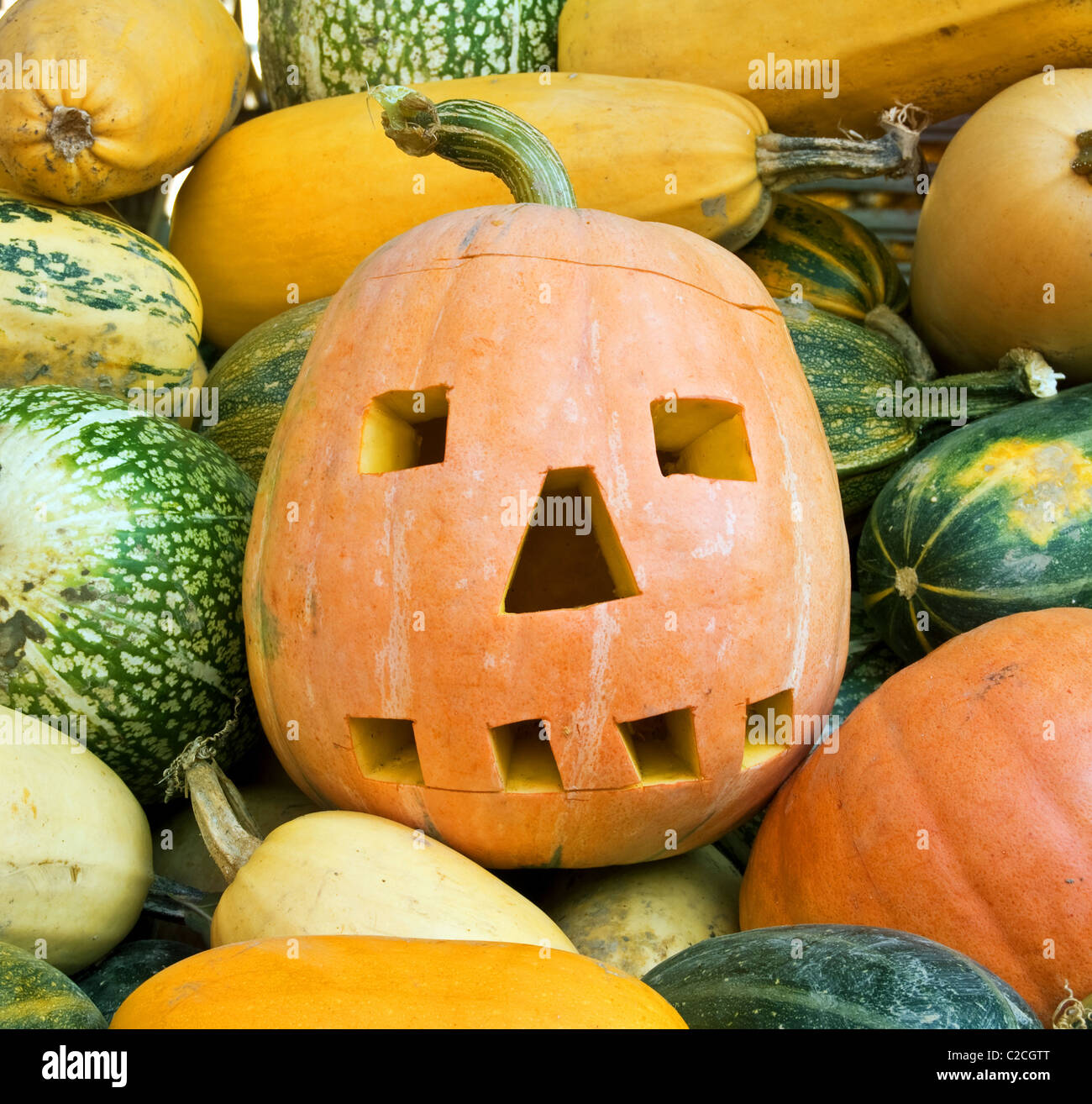 Halloween-Kürbis hautnah Stockfoto