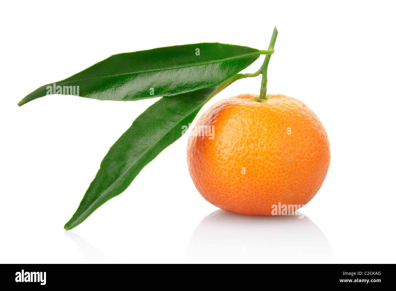 Mandarine mit Blättern isoliert auf weiss Stockfoto