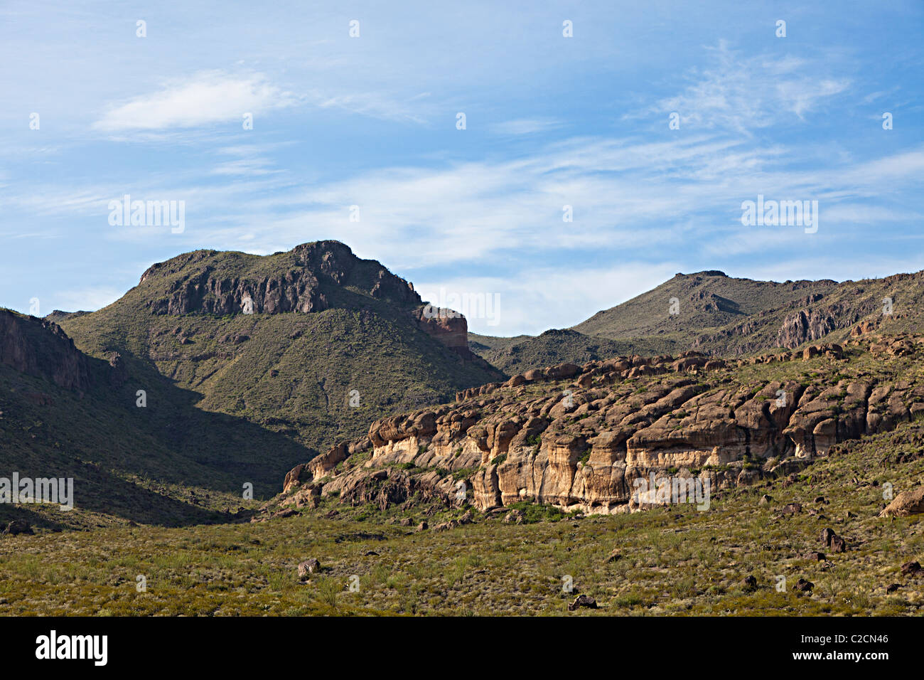 Wüste Gelände Big Bend Ranch State Park Texas USA Stockfoto