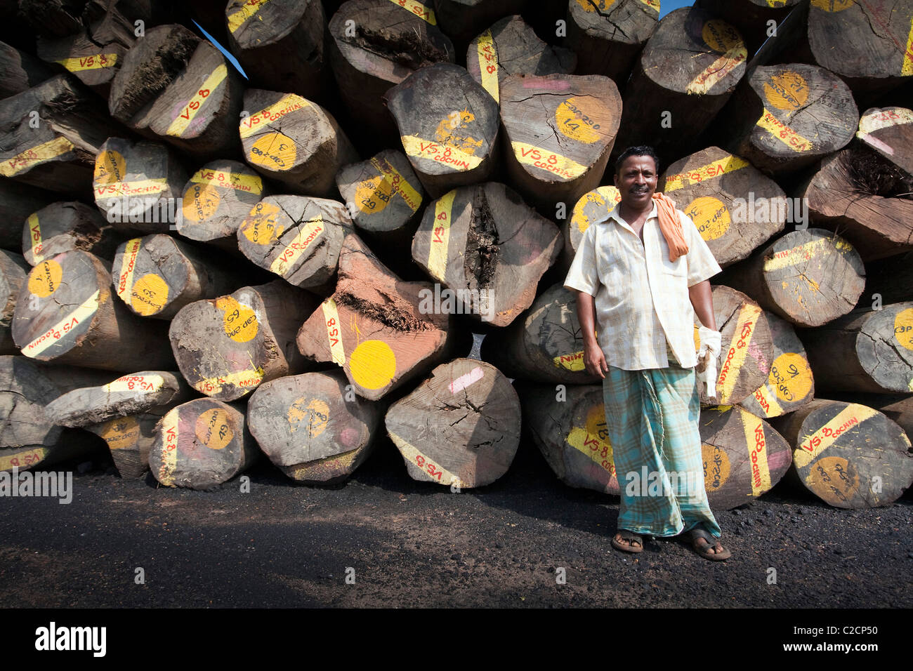 Indien-Mann stand vor Protokollen an einem Holzlagerplatz, Fort Kochi, Kerala, Indien Stockfoto