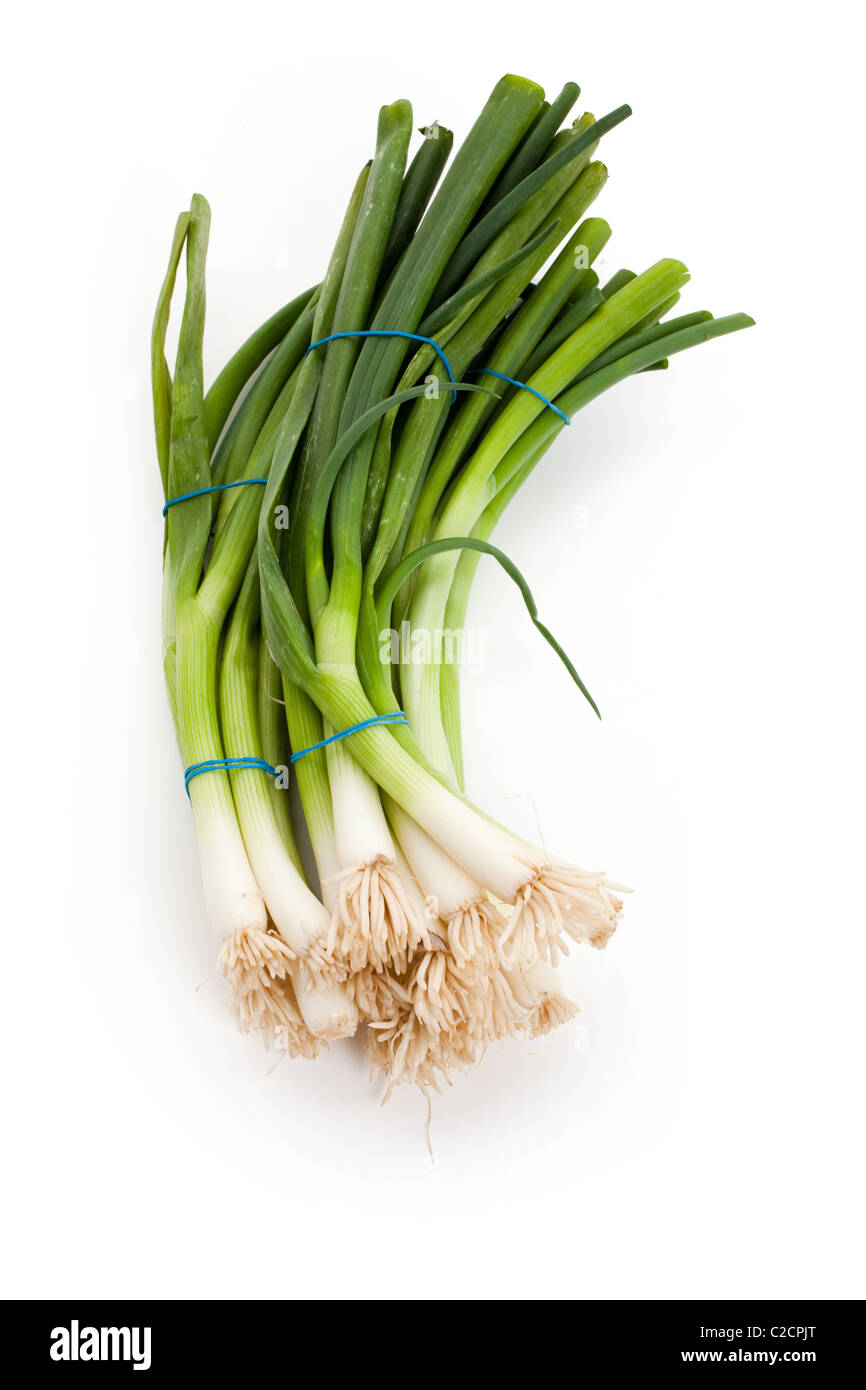 grüne Zwiebel mit weißem Hintergrund Stockfoto