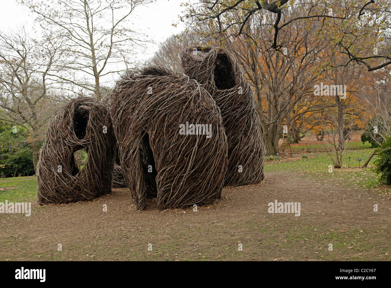Gewebte Holzskulptur im Herbst im Brooklyn Botanic Garden Stockfoto