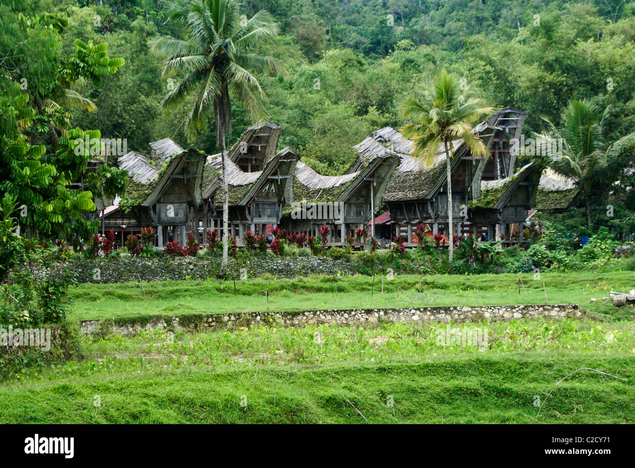 Kete Kesu traditionelles Dorf, Tana Toraja, Süd-Sulawesi, Indonesien Stockfoto