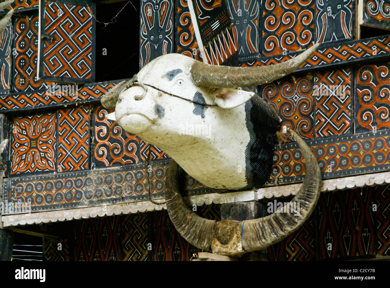 Wasserbüffel-Kopf auf Toraja Haus Kete Kesu, Tana Toraja, Süd-Sulawesi, Indonesien Stockfoto