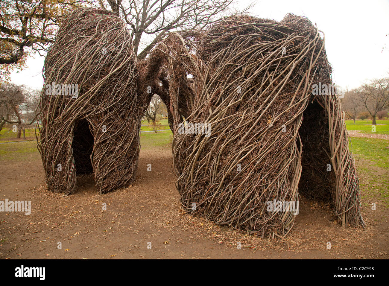 Gewebte Holzskulptur im Herbst im Brooklyn Botanic Garden Stockfoto