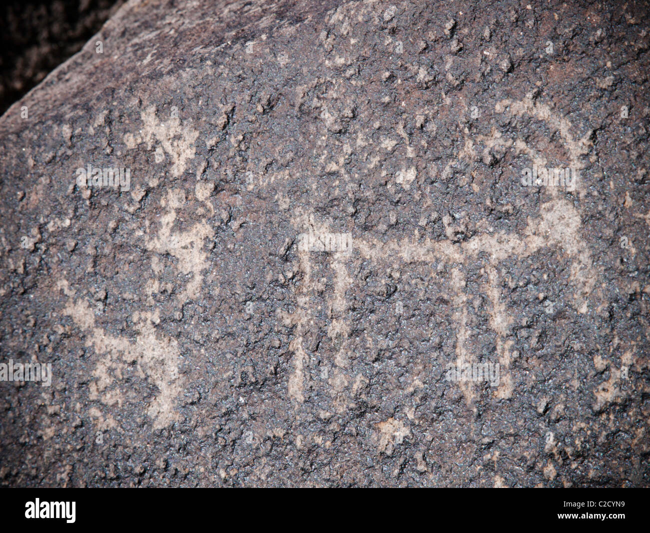 Indianische Petroglyphen im weißen Tank Regionalpark etwas außerhalb von Phoenix Arizona und sind als heilig Stockfoto