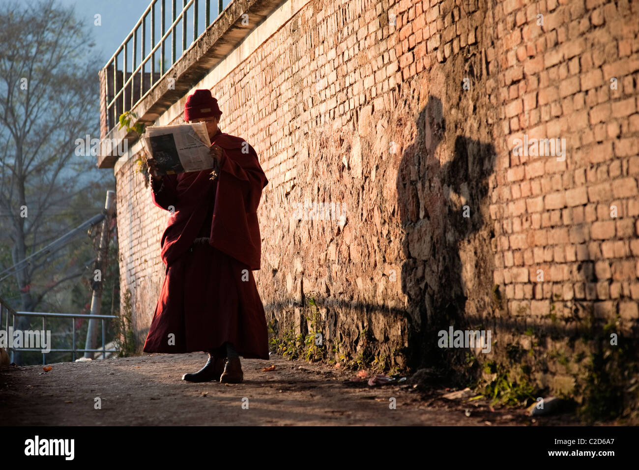 Buddhistischer Mönch, eine Zeitung lesen. Nepal, Asien Stockfoto