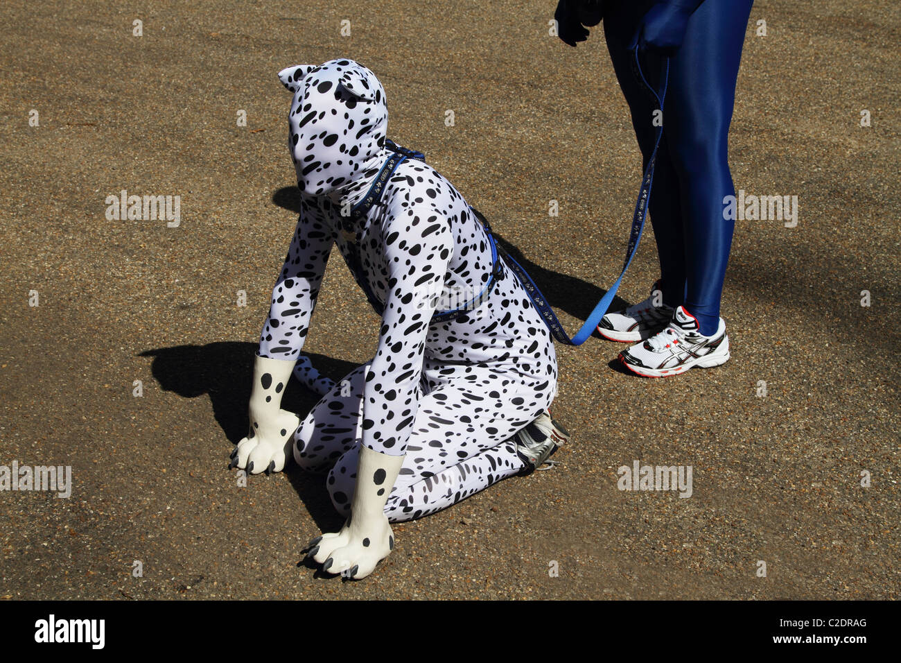 Zentai Spot dalmatinischen Kostüm Kostüm Stockfoto