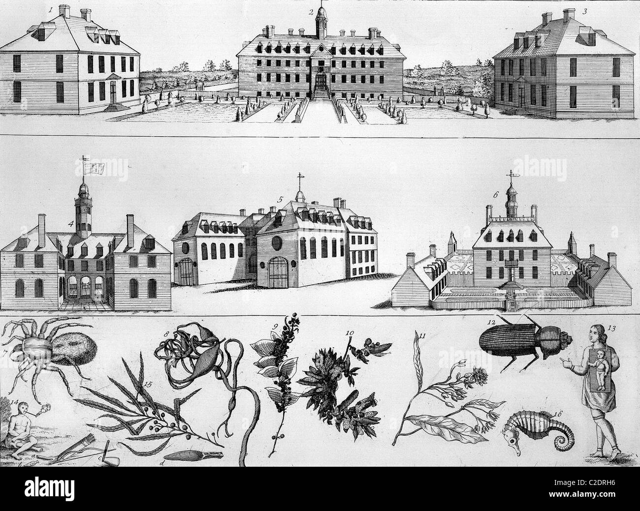 William und Mary College Stockfoto William und Mary College Stockfoto