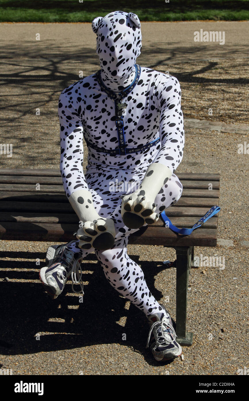 Zentai Spot dalmatinischen Kostüm Kostüm Stockfoto