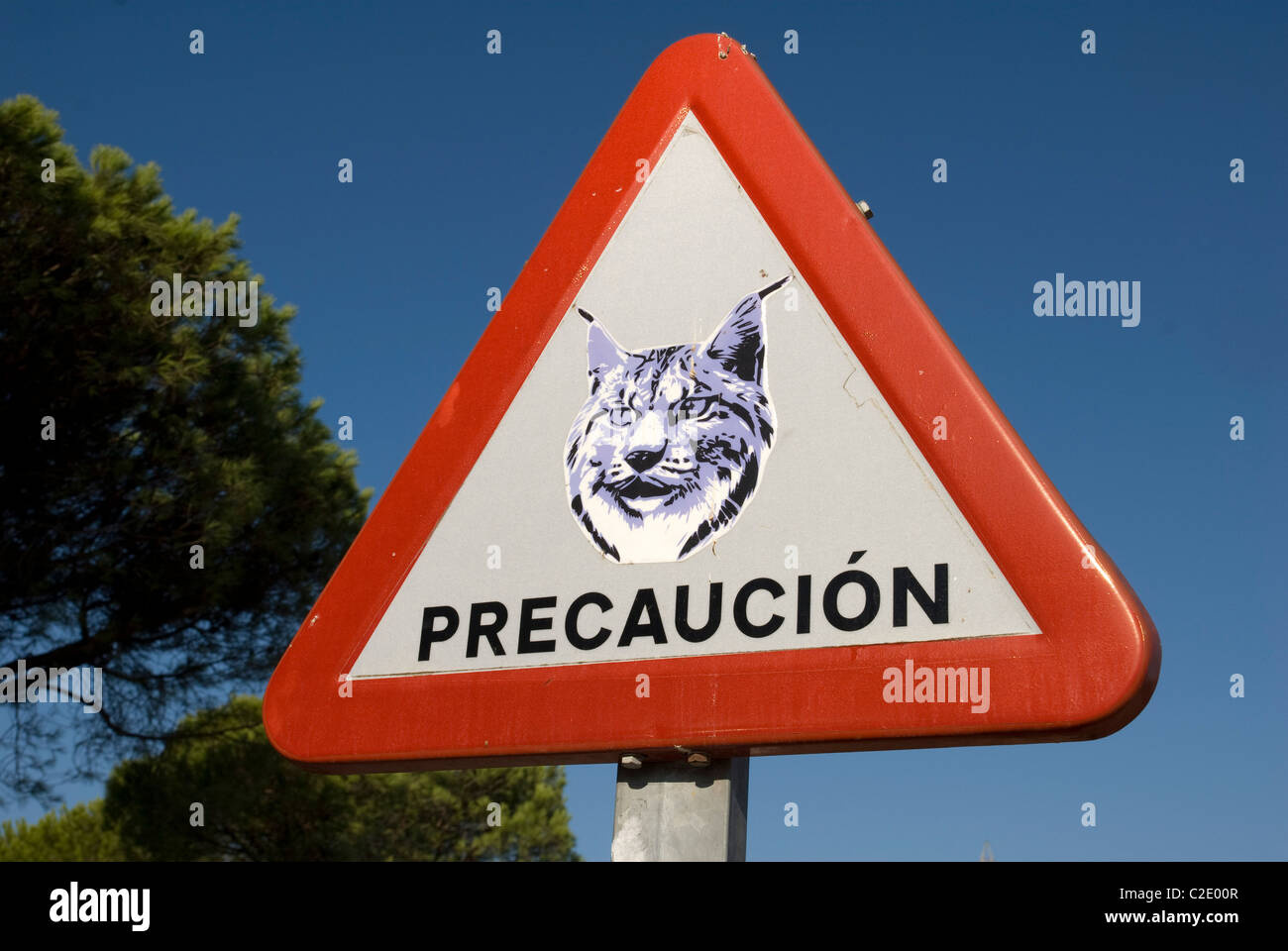 Luchs Verkehrszeichen im Doñana Nationalpark, Provinz Huelva, Andalusien, Spanien. Stockfoto