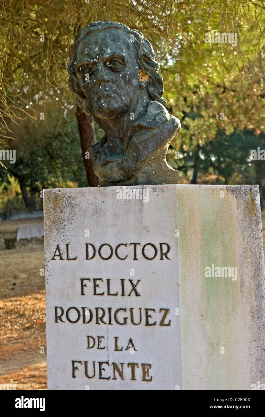 Felix Rodriguez De La Fuente-Statue im Palast Acebron, Nationalpark Doñana. Provinz Huelva, Andalusien. Spanien Stockfoto