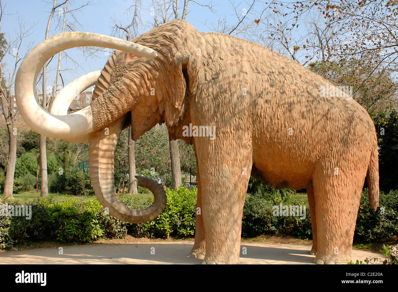 Mamut, Mammuthus Primigenius, Parc De La Ciutadella, Barcelona, Spanien Stockfoto