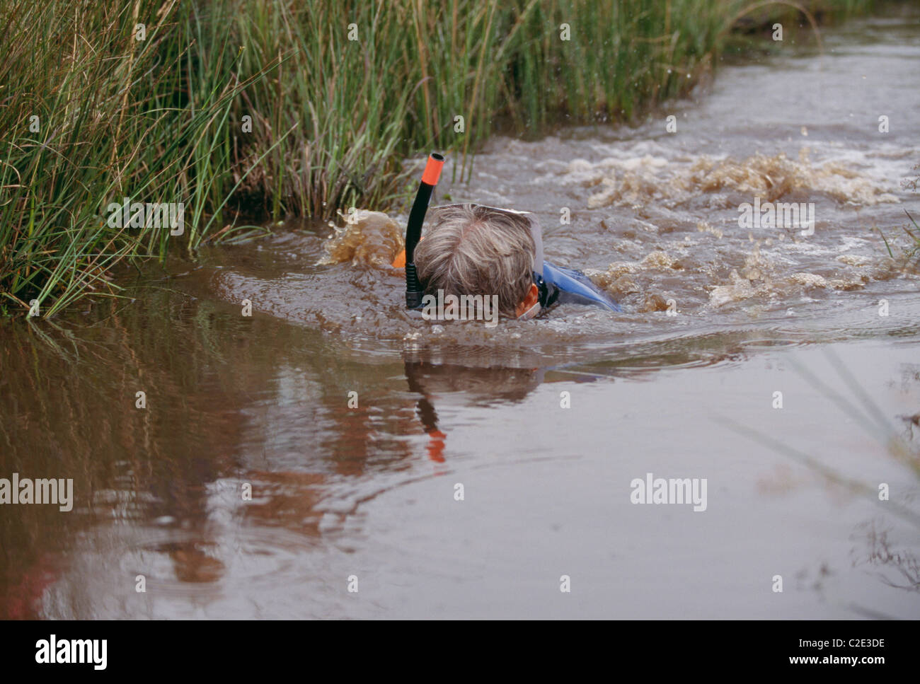 Moor-Schnorcheln-Powys, Wales Stockfoto