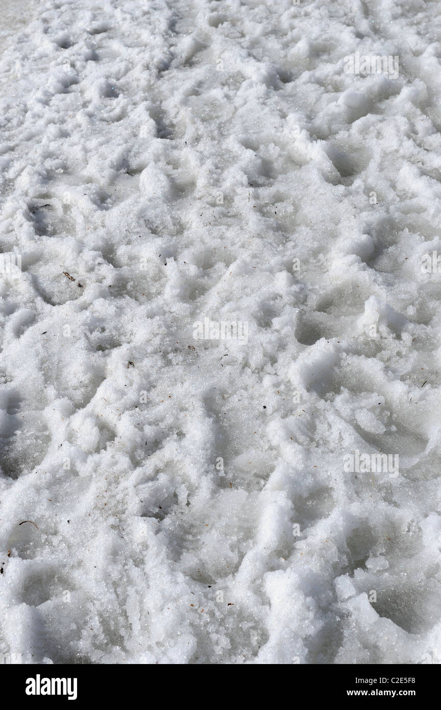 Menschliche Fußabdrücke auf matschigen Bürgersteig. Im Frühjahr hat die warme Sonnenstrahlen auf Schnee und Eis ausgewirkt. Helsinki, Finnland... Stockfoto