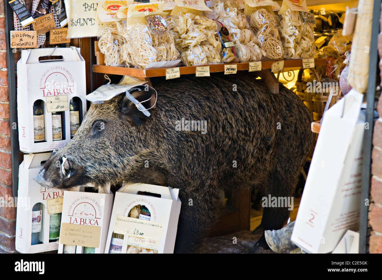 Ausgestopften Wildschwein auf dem Display in einem italienischen Shop Stockfoto