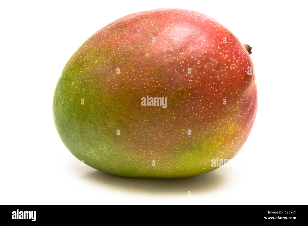 Mango, die isoliert auf weißem Hintergrund Stockfoto