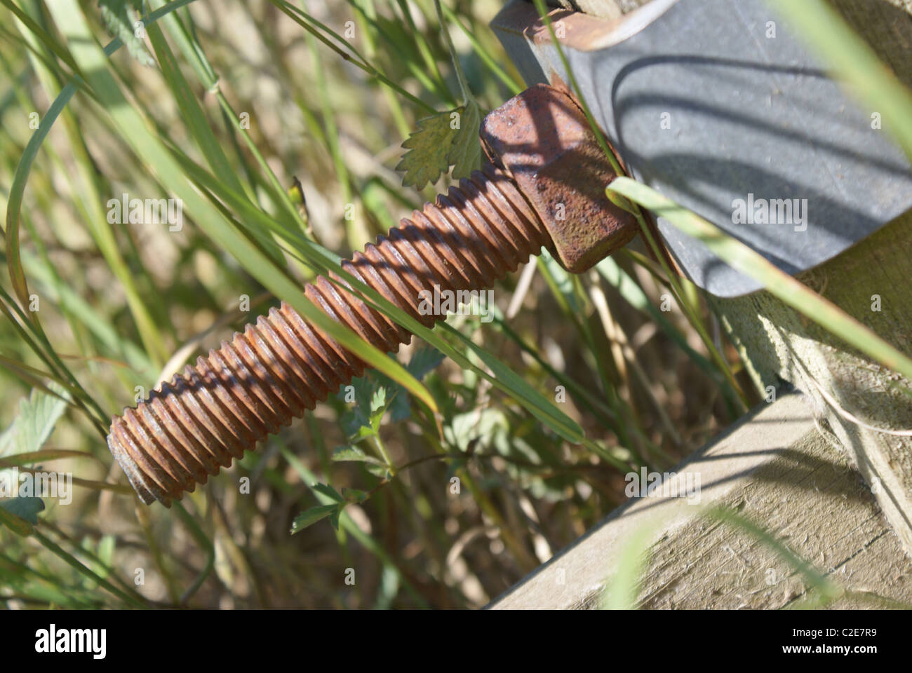 Scharnierbolzen am Tor Stockfoto