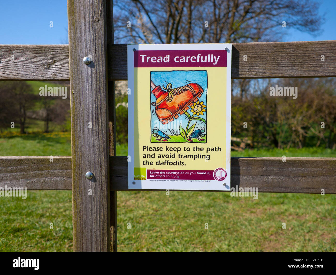 Vorsichtig, um zu vermeiden, trampeln die Narzissen-Zeichen auf dem Farndale berühmten Spaziergang im Frühling für Narzissen Stockfoto