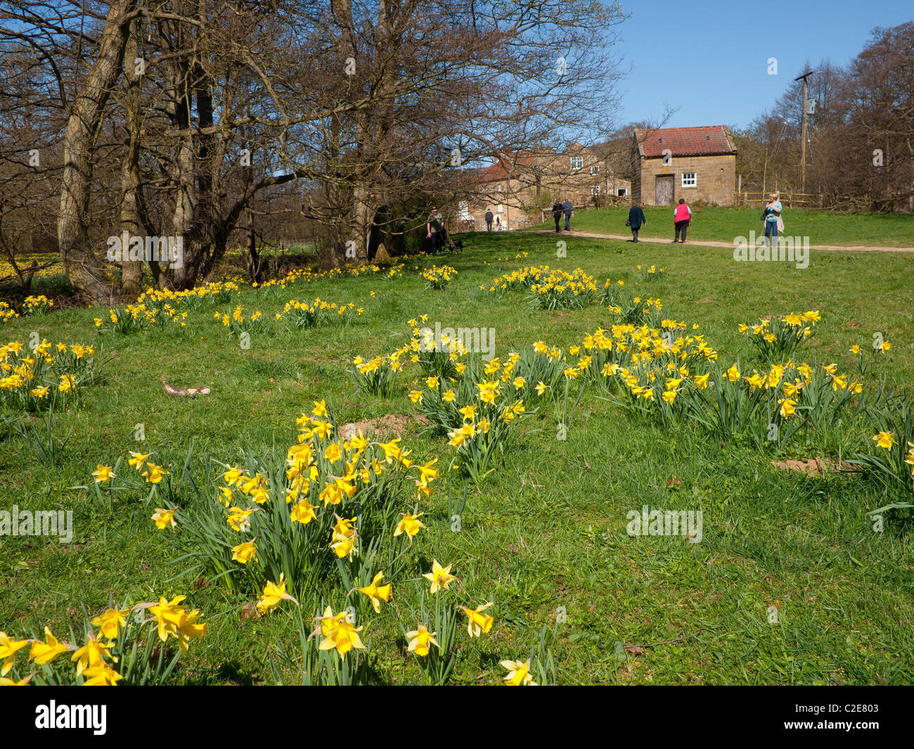 Eine Gruppe von Wanderern auf dem Farndale Spaziergang in die North Yorkshire Moors Nationalpark berühmt für Narzissen im Frühjahr Stockfoto