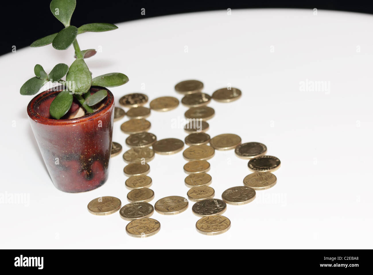 Gelder auf Baum wachsen Stockfoto