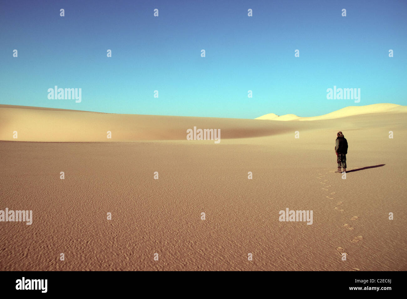 Ein Wüstenforscher allein in den goldenen Dünen des Großen Sandmeers in der Westwüstenregion der ägyptischen Sahara, nahe der Oase Dakhla, Ägypten. Stockfoto