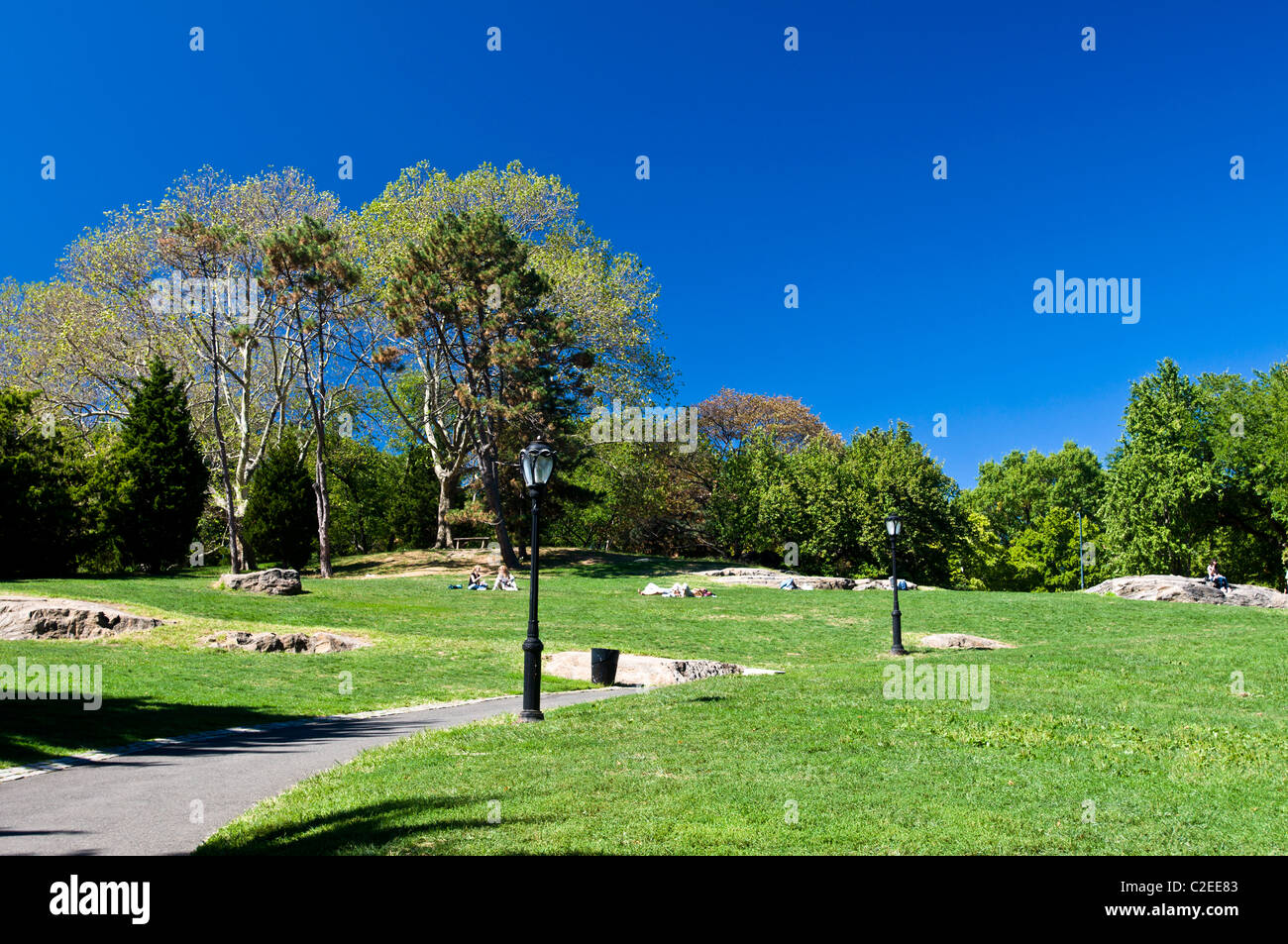 Cedar Hill grünen Rasen am Central Park in Manhattan, New York City, USA Stockfoto