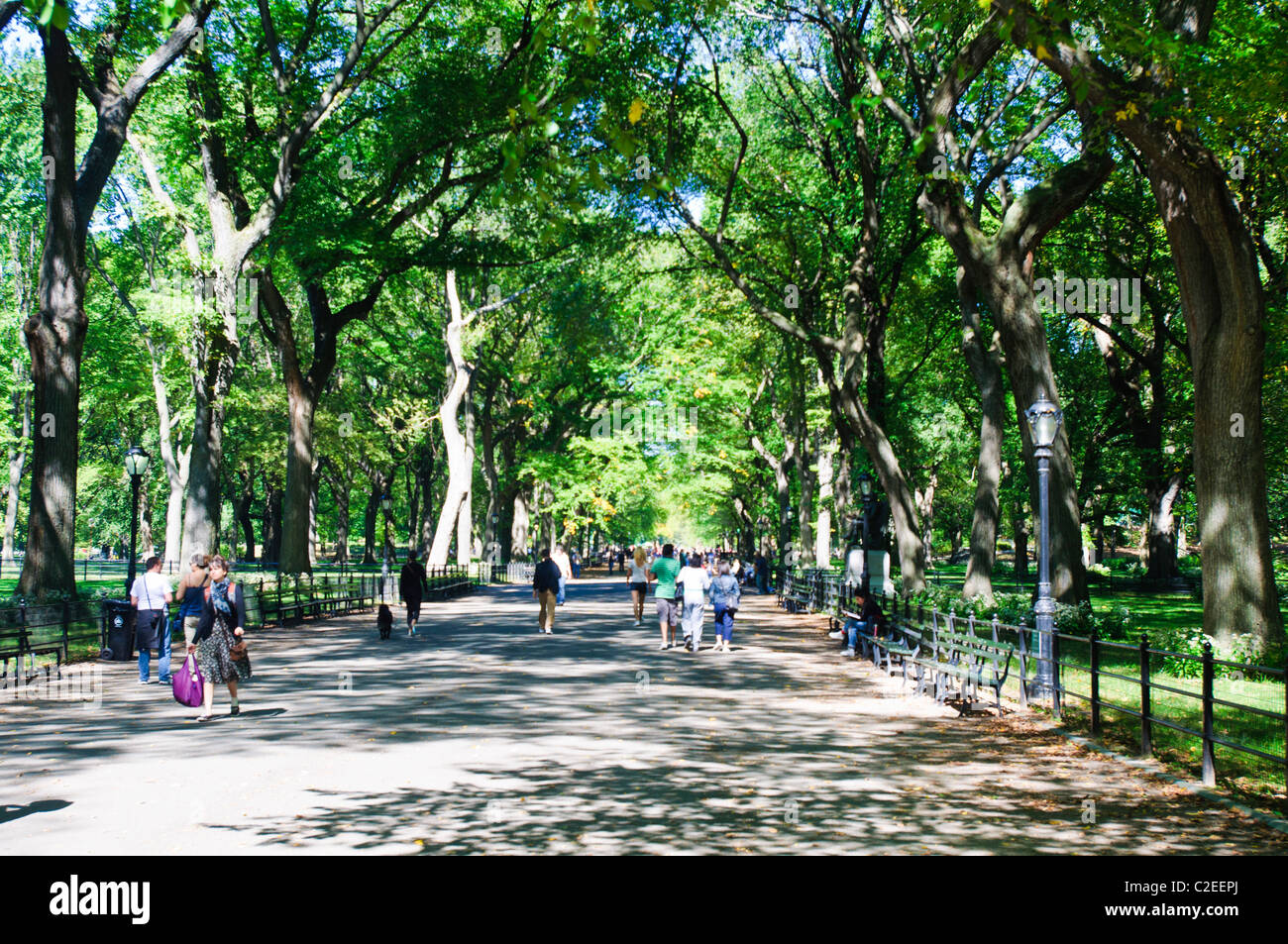 Die Mall und literarischen Spaziergang mit amerikanischen Ulmen bilden Baldachin, Fußgängerweg, Central Park, Manhattan, NYC Stockfoto