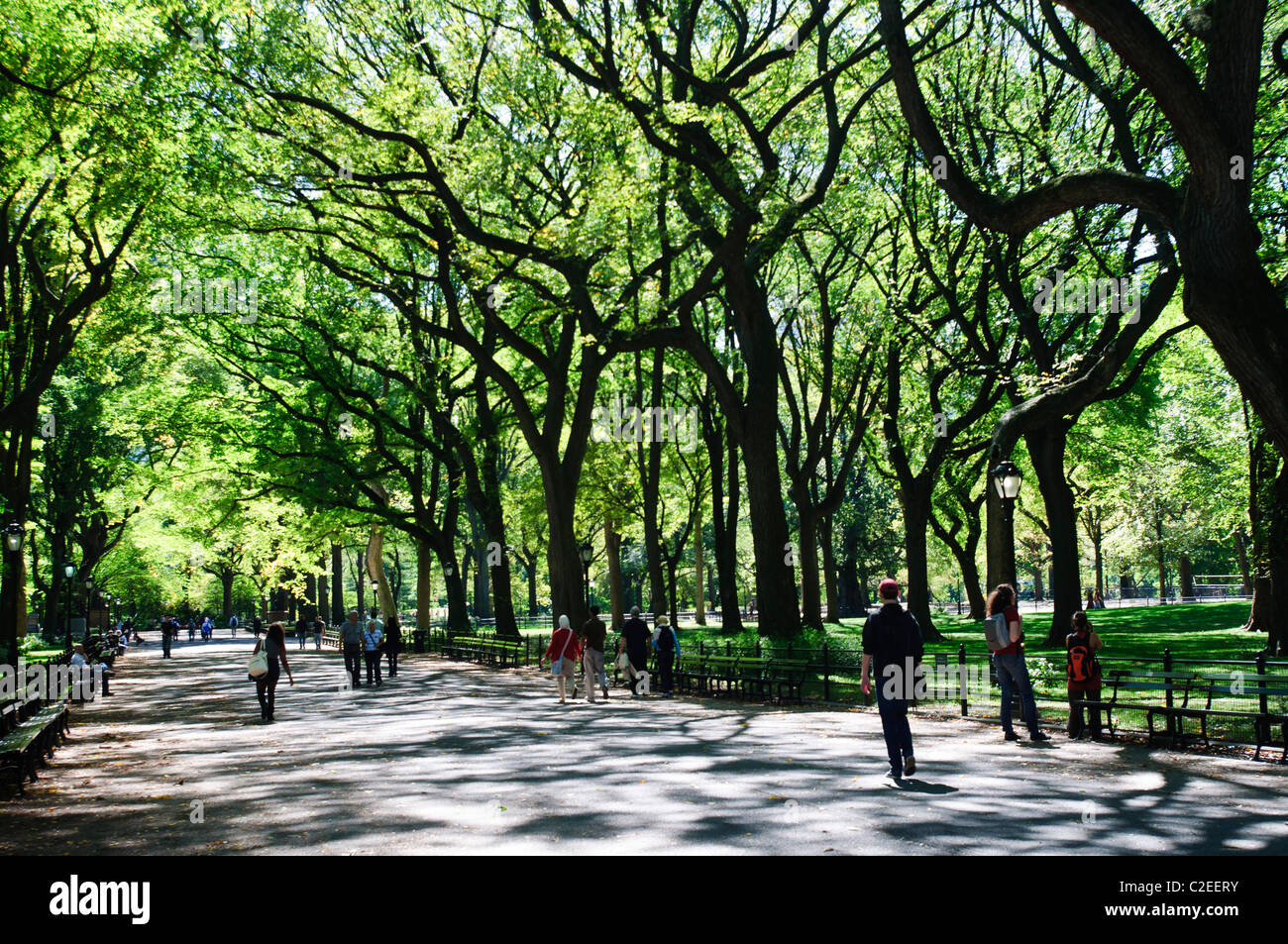 Die Mall und literarischen Spaziergang mit amerikanischen Ulmen bilden Baldachin, Fußgängerweg, Central Park, Manhattan, NYC Stockfoto