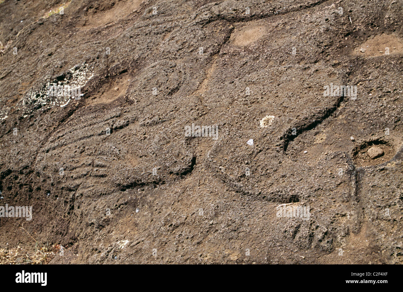 Ahu Tongariki Osterinsel Chile Stockfoto