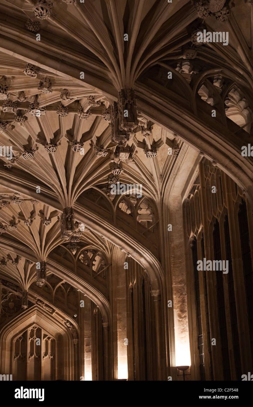 Detail der verzierten Decke an der Universität Oxford Bodleian Bibliothek Divinity School. Stockfoto