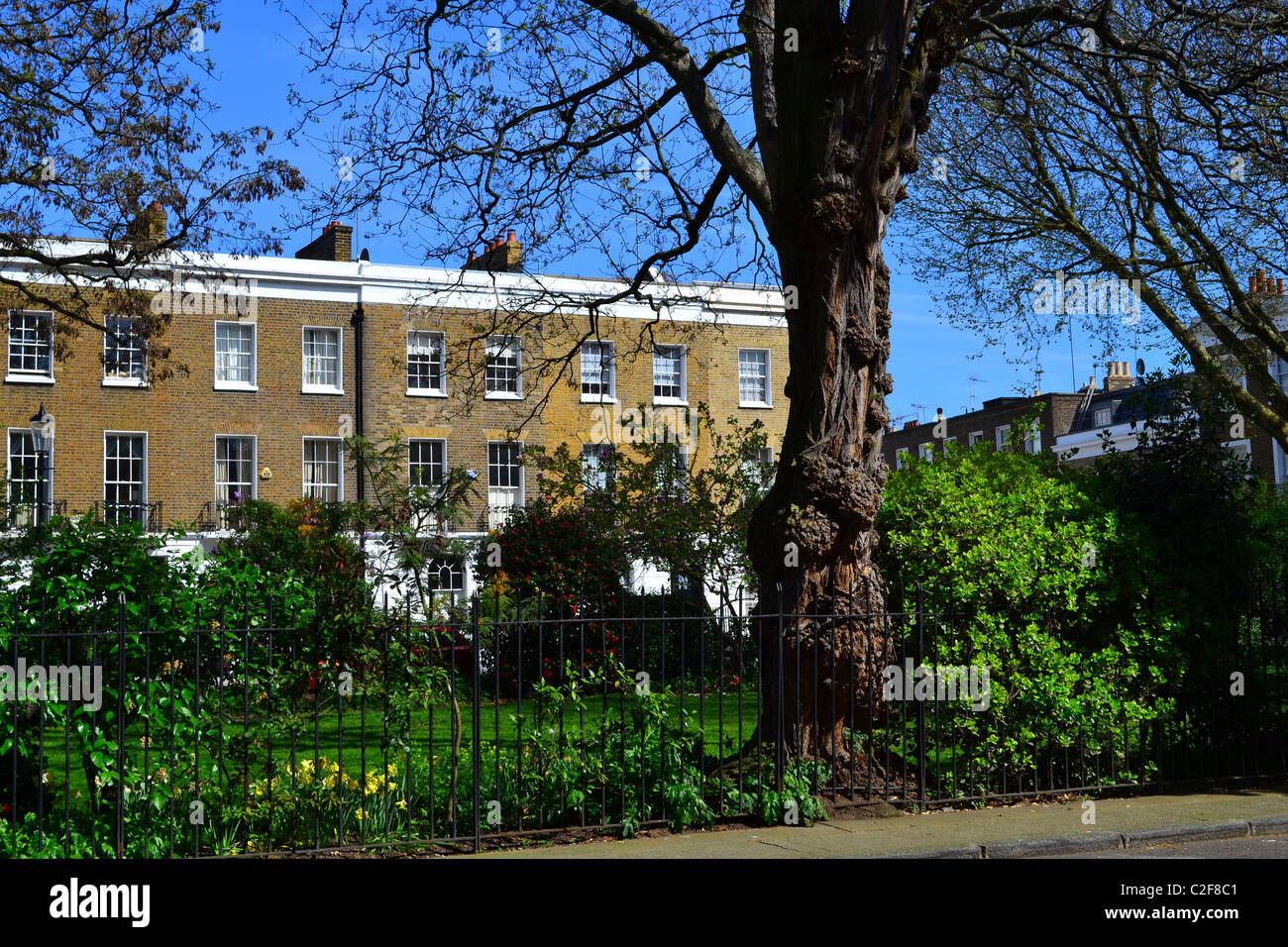 Braune Backsteinhäuser in Chelsea, London, UK ARTIFEX LUCIS Stockfoto