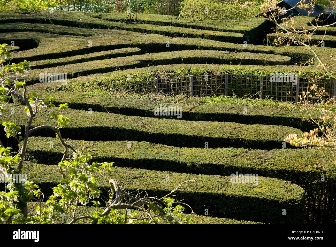 Das Labyrinth in Hampton Court Palace. Middlesex. VEREINIGTES KÖNIGREICH. Stockfoto