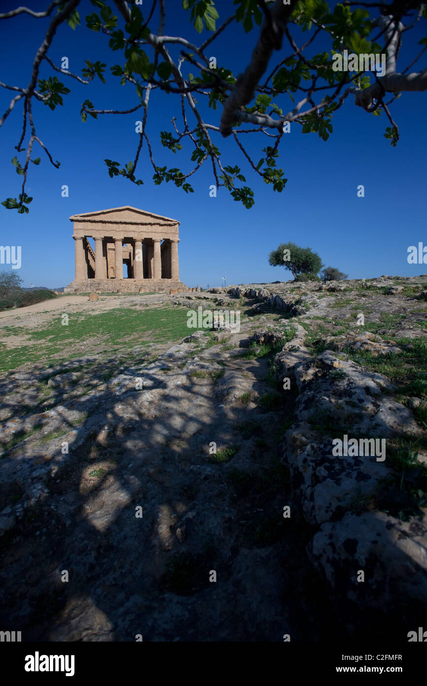 Ruinen des griechischen Tempels von Concord Agrigento Tal der Tempel Sizilien Stockfoto